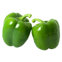 LADA BENGGALA HIJAU (CAPSICUM)