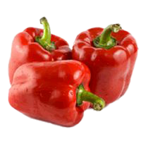 LADA BENGGALA MERAH (CAPSICUM)