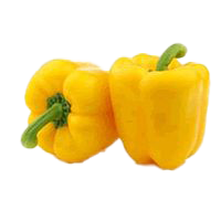 LADA BENGGALA KUNING (CAPSICUM)