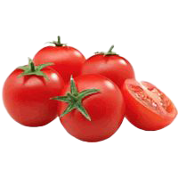 TOMATO