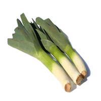 BAWANG PERAI (LEEK) IMPORT