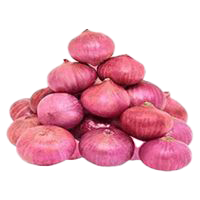 BAWANG BESAR IMPORT (INDIA)