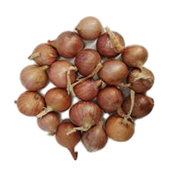 BAWANG KECIL MERAH IMPORT (MYANMAR)