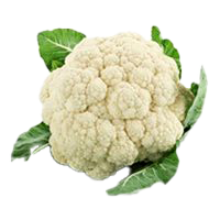 KUBIS BUNGA (CAULIFLOWER)