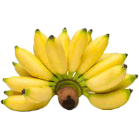 PISANG EMAS