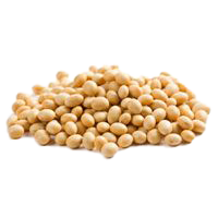 KACANG SOYA (IMPORT)