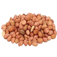 KACANG TANAH (IMPORT)